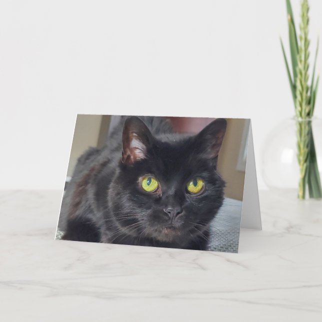 Cartão De Agradecimento Gato negro (Frente)