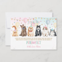Gatos Adoráveis e Bonitos Balões Festa de aniversá