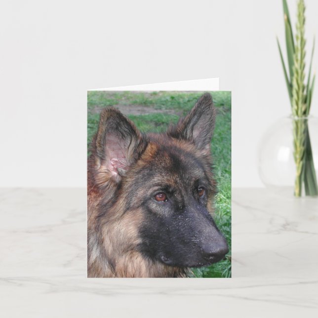 Cartão De Agradecimento german shepherd (Frente)