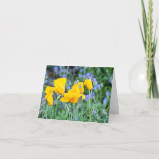 Cartão De Agradecimento Golden Poppies to show you care