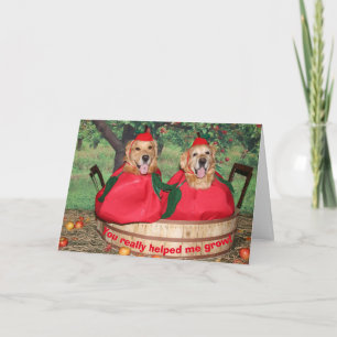 Cartão De Agradecimento Golden Retriever Apples Teacher Thank You