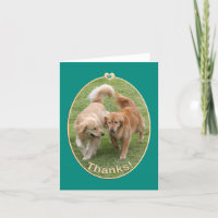 Golden Retriever Thank You Card