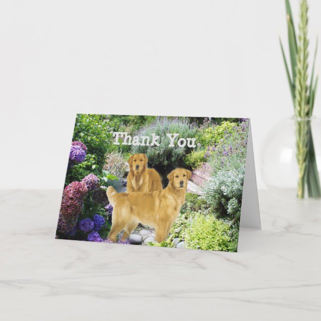Cartão De Agradecimento Golden Retrievers Thank You Buddies Card (Frente)