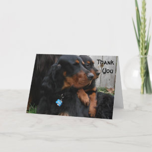 Cartão De Agradecimento Gordon Setter Pals Obrigado Nota