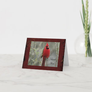 Cartão De Agradecimento Gorgeous Cardinal Photo- Thank You Note Card