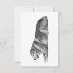 Cartão De Agradecimento Gracious Paws, Velvet Line