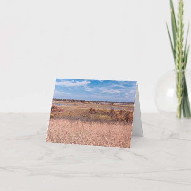 Cartão De Agradecimento gramíneas prairie e zonas úmidas do necedah (Frente)