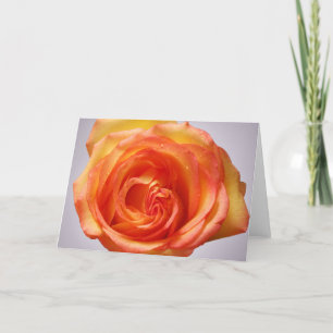 Cartão De Agradecimento Grandiflora Rose