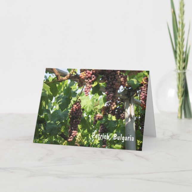 Cartão De Agradecimento Grapes Petrich, Bulgaria (Frente)
