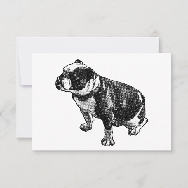 Cartão De Agradecimento Gratitude Without Noise (Frente)