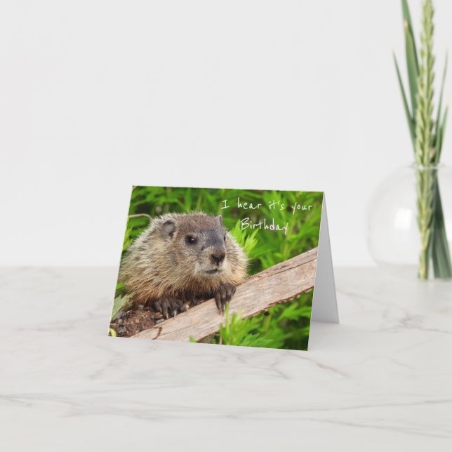 Cartão De Agradecimento Groundhog Humor Birthday Cake Card (Frente)
