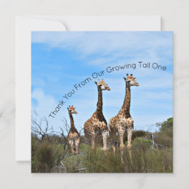 Cartão De Agradecimento Growing Tall Thank You Message