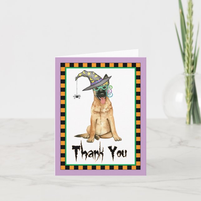 Cartão De Agradecimento Halloween Belga Malinois Obrigado (Frente)