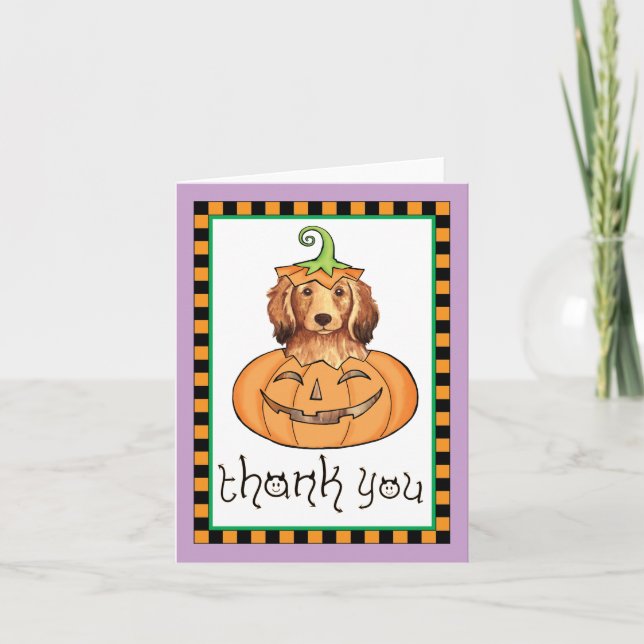 Cartão De Agradecimento Halloween Longhaired Dachshund Obrigado (Frente)