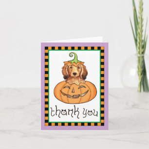 Cartão De Agradecimento Halloween Longhaired Dachshund Obrigado