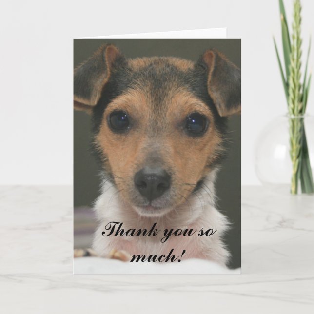 Cartão De Agradecimento Hamlin - Muito obrigado! (Frente)