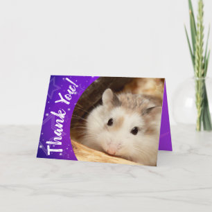 Cartão De Agradecimento Hammyville - Cute Hamster Thank You