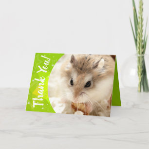 Cartão De Agradecimento Hammyville - Hamster Bonito Obrigado