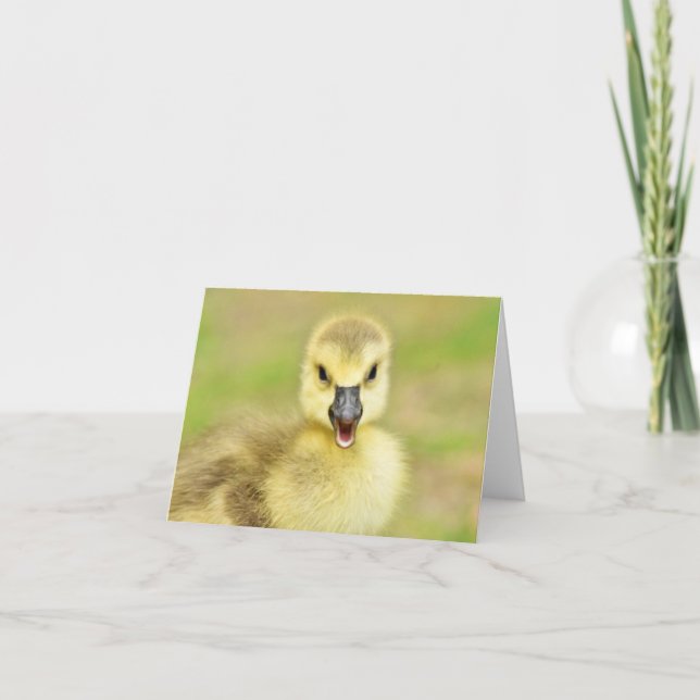 Cartão De Agradecimento Happy Gosling (Canada Goose #2) - Blank Note Card (Frente)