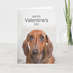 Cartão De Agradecimento Happy Valentine's Day Dog Face Add Your Name