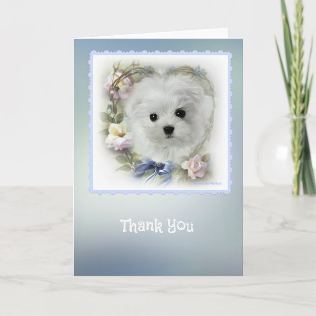 Cartão De Agradecimento Hermes the Maltese Thank You Card (Frente)