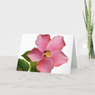 Cartão De Agradecimento Hibiscus Thank You Card in French