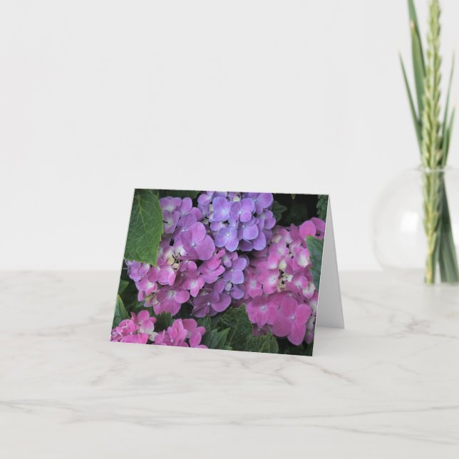 Cartão De Agradecimento Hidrangea rosa (Frente)