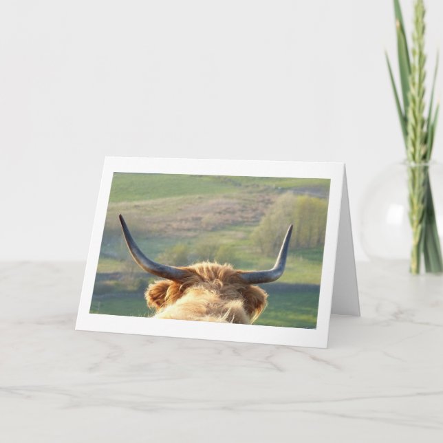 Cartão De Agradecimento Highland cow Birthday card (Frente)