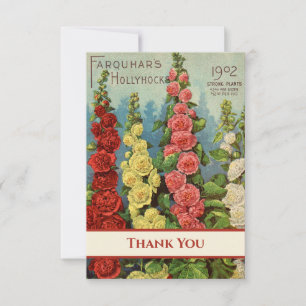 Cartão De Agradecimento Hollyhocks Red Peach Yellow Cream 1902 Seed Packet