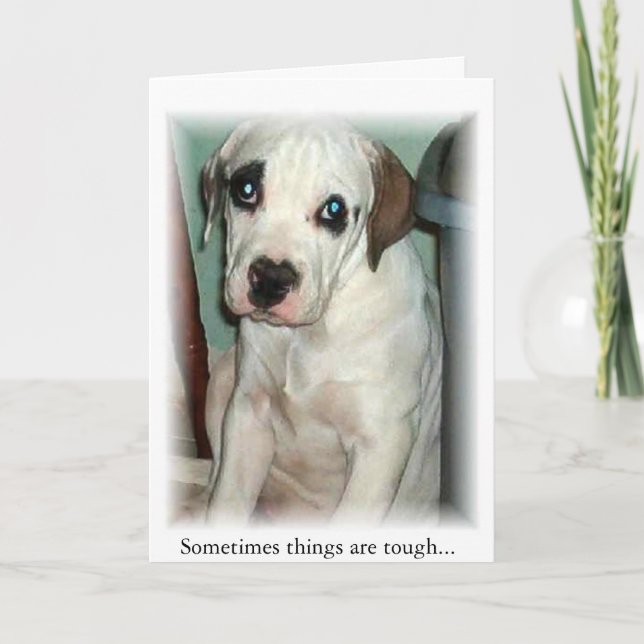 Cartão De Agradecimento horas de toque (Frente)