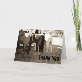 Cartão De Agradecimento Horse Butt Thank You Cards