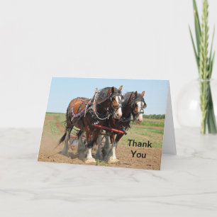 Cartão De Agradecimento Horse Clydesdale Farming Photo