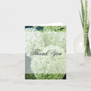 Cartão De Agradecimento Hortênsias Annabelle Obrigado