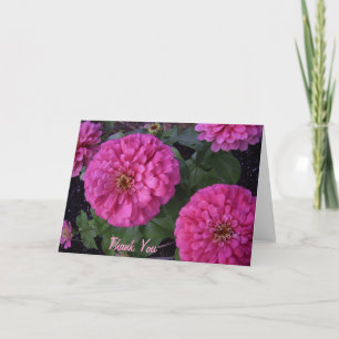 Cartão De Agradecimento Hot Pink Zinnia- Thank you