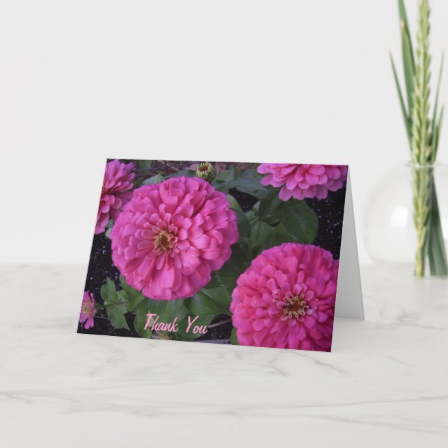 Cartão De Agradecimento Hot Pink Zinnia- Thank you (Frente)