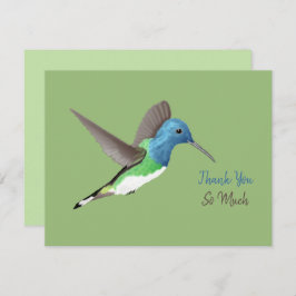 Cartão De Agradecimento Hovering Jacobin Hummingbird - transparente.