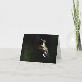 Cartão De Agradecimento Hummingbird 2 com garganta de rubi - Placa de anot