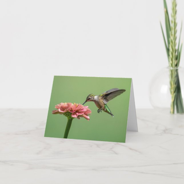 Cartão De Agradecimento Hummingbird Com Placa De Nota De Flor (Frente)