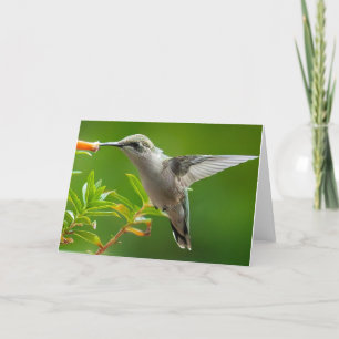 Cartão De Agradecimento Hummingbird Notecard
