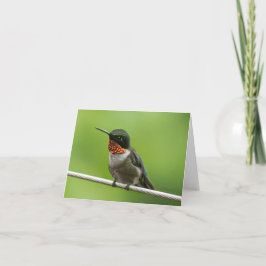 Cartão De Agradecimento Hummingbird Notecard