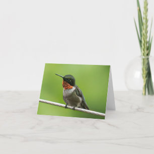 Cartão De Agradecimento Hummingbird Notecard