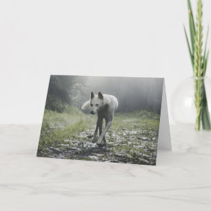 Cartão De Agradecimento Husky Siberiano Branco