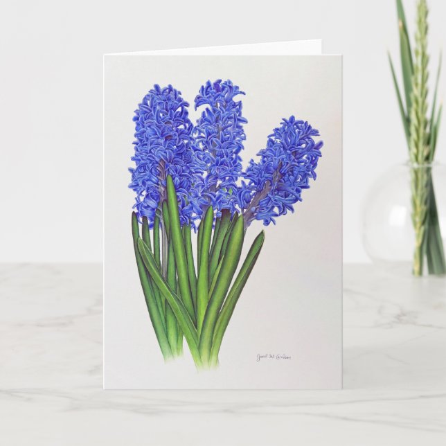 Cartão De Agradecimento Hyacinth (Frente)