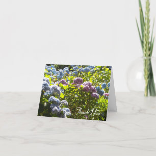 Cartão De Agradecimento Hydrangea azul e rosa Obrigado