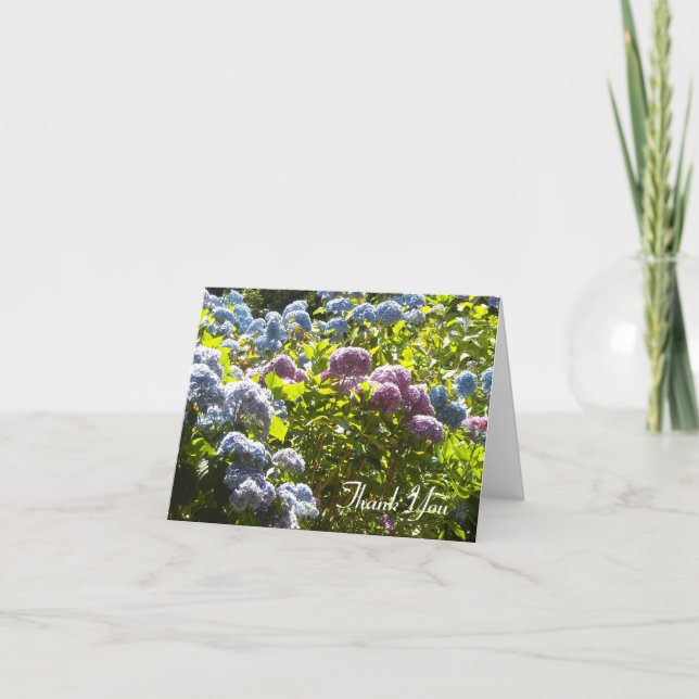 Cartão De Agradecimento Hydrangea azul e rosa Obrigado (Frente)