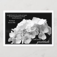 Hydrangea e obrigado preto e branco da simpatia