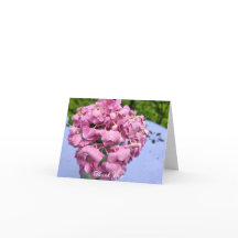 Hydrangeas Rosa Em Uma Mesa