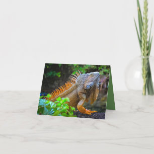 Cartão De Agradecimento "Iguana"