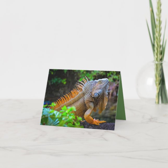 Cartão De Agradecimento "Iguana"  (Frente)
