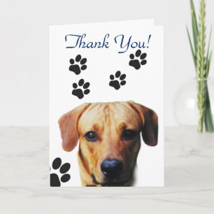 Cartão De Agradecimento Impressão de Canais de Cães Obrigado